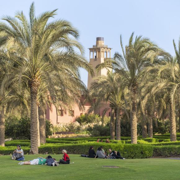 Students sitting in the garden