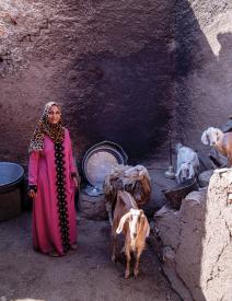 an old lady in sohag, egypt with goat and sheep
