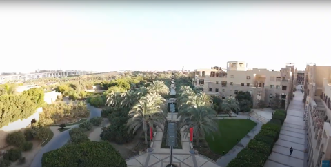 Aerial view of a big garden and buildings